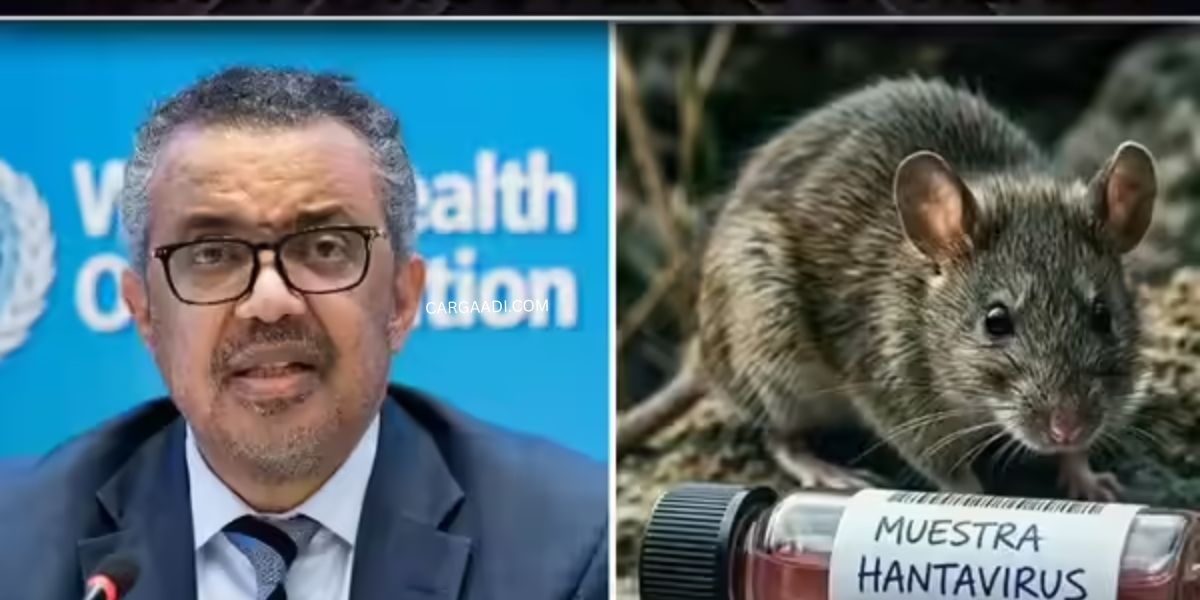Hantavirus